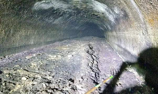 Fatberg original macomb county fatberg