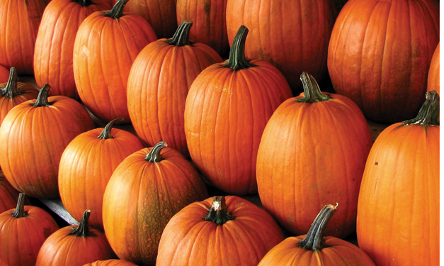 Fall Pumpkin Birthday Party Ideas